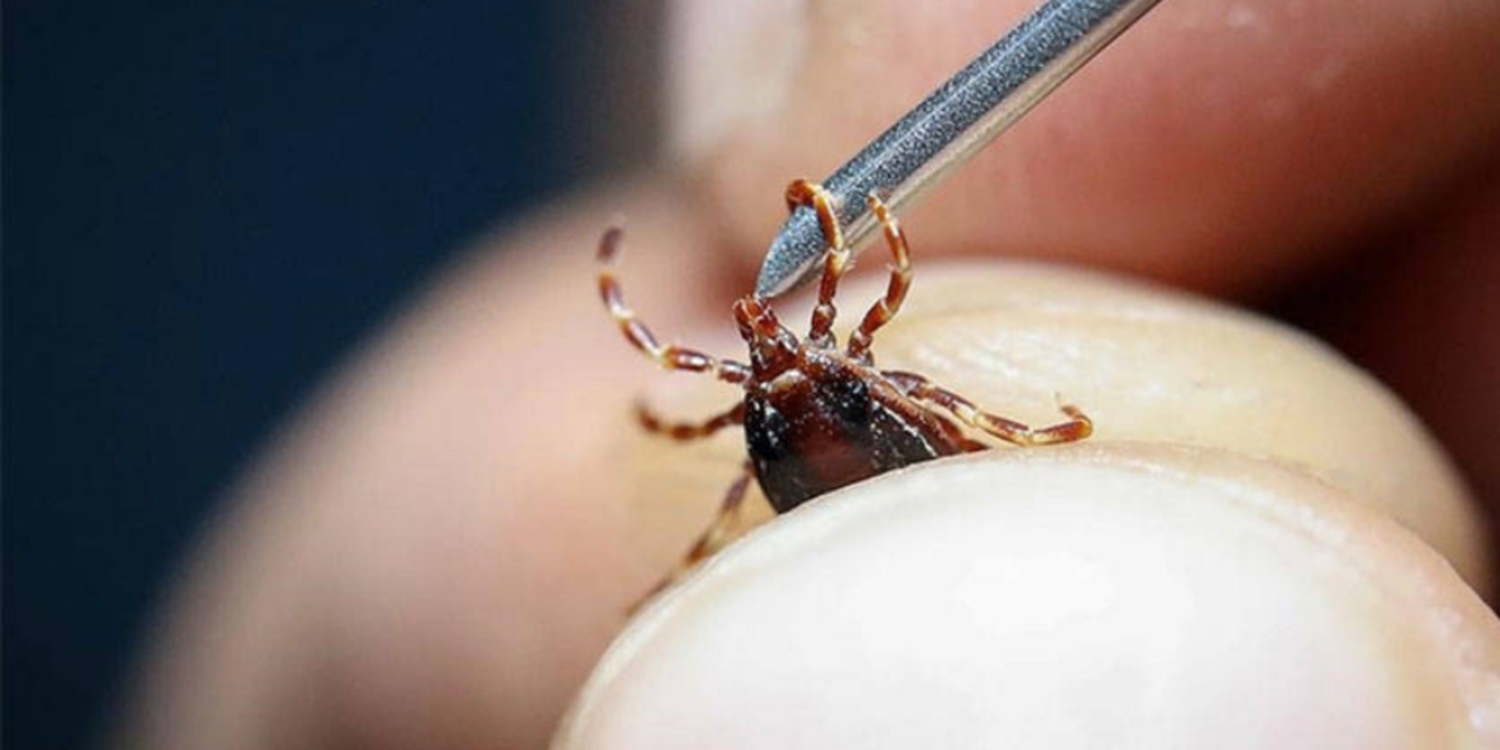 KKKA vakalarında korkutan artış